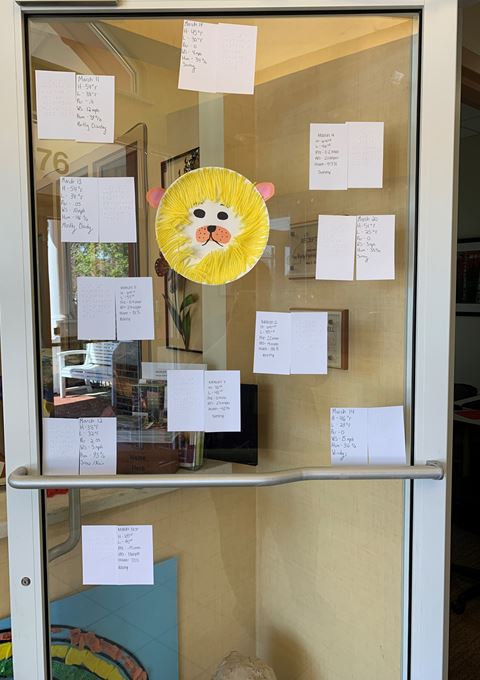 glass door with tactile lion with yarn mane and card stock nose surrounded by index cards showing the weather information in print and Braille.