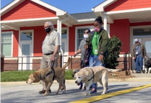 IFB employees traverse the campus with the aid of their guide dogs