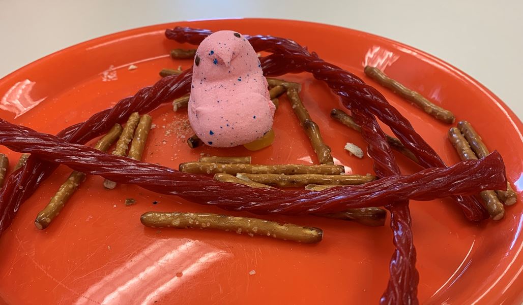 snack craft of Twizzlers and pretzel sticks nest, jellybeans eggs, and a Peeps chick