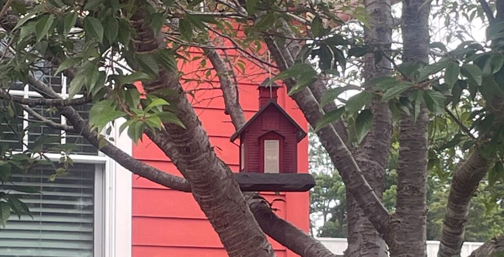 bird feeder shaped like a little red schoolhouse hanging in a tree in front of Tracy’s Little Red Schoolhouse