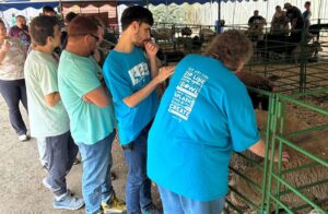 SEE students follow Kim Shoffner in petting a sheep